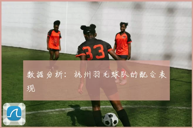 数据分析：杭州羽毛球队的配合表现