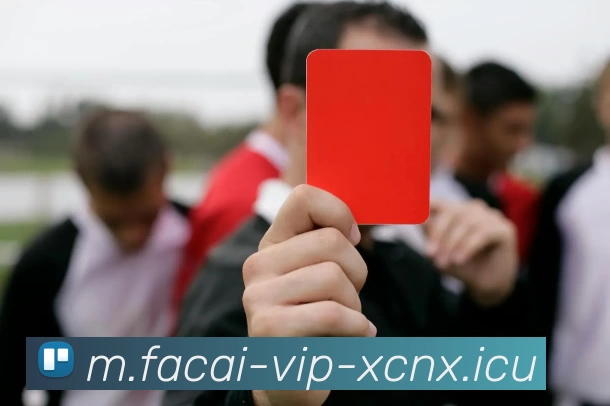 九游体育发展历程